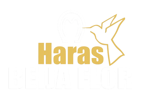 Logo Haras Beija Flor
